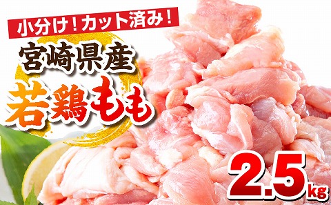 宮崎県産若鶏 もも肉 2.5kg（250g×10パック）_M146-008_01