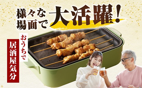 宮崎県産若鶏　焼き鳥3種　60本(1.7kg)盛り合わせ_M146-013