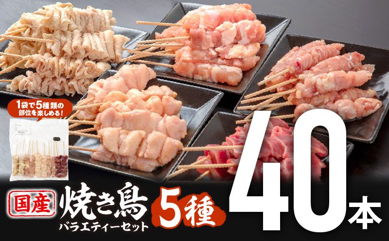 若鶏の焼き鳥セット5種(40本)バラエティーセット_M146-015