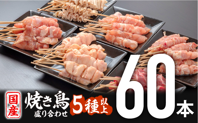 若鶏の焼き鳥セット5種以上(60本)盛り合わせ_M146-001