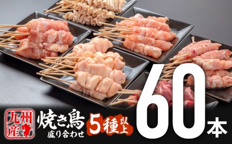 九州産若鶏の焼き鳥セット5種以上（60本）盛り合わせ_M146-001_may