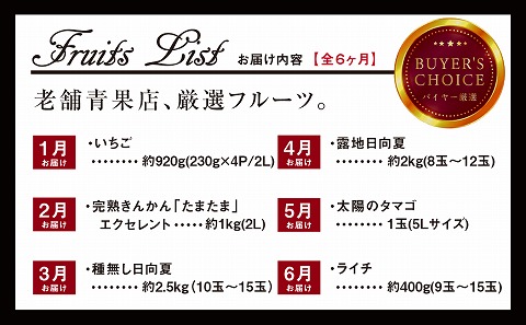 《2025年発送先行予約》【期間・数量限定】青果店厳選！「6ヶ月お届け！くだもの定期便Vol.3」_M153-T027