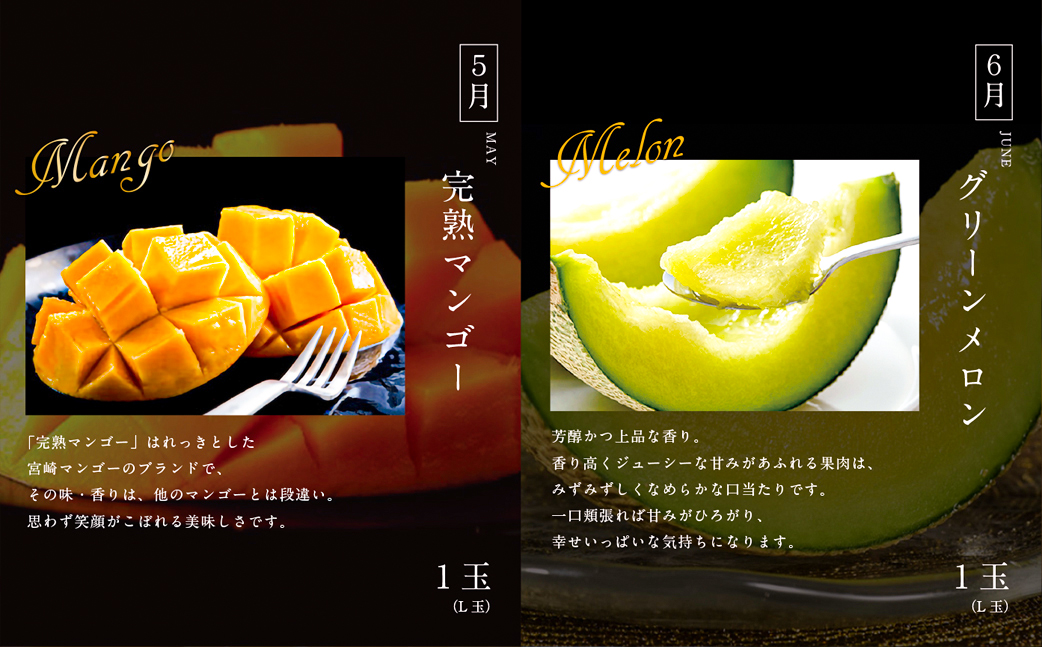 青果店厳選！「くだもの定期便Vol.1」(全9回) フルーツ 果物 定期便 9回 いちご きんかん 金柑 たまたま 日向夏 マンゴー メロン みかん 温州みかん 不知火 柑橘 柑橘類 青果物 青果 グルメ お取り寄せ ギフト_M153-004