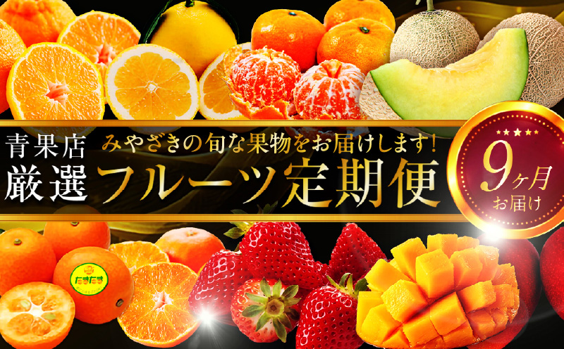 青果店厳選！「くだもの定期便Vol.1」(全9回)_M153-004