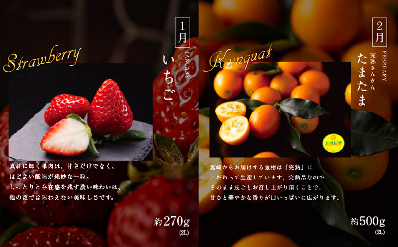 青果店厳選！「くだもの定期便Vol.1」(全9回) フルーツ 果物 定期便 9回 いちご きんかん 金柑 たまたま 日向夏 マンゴー メロン みかん 温州みかん 不知火 柑橘 柑橘類 青果物 青果 グルメ お取り寄せ ギフト_M153-004