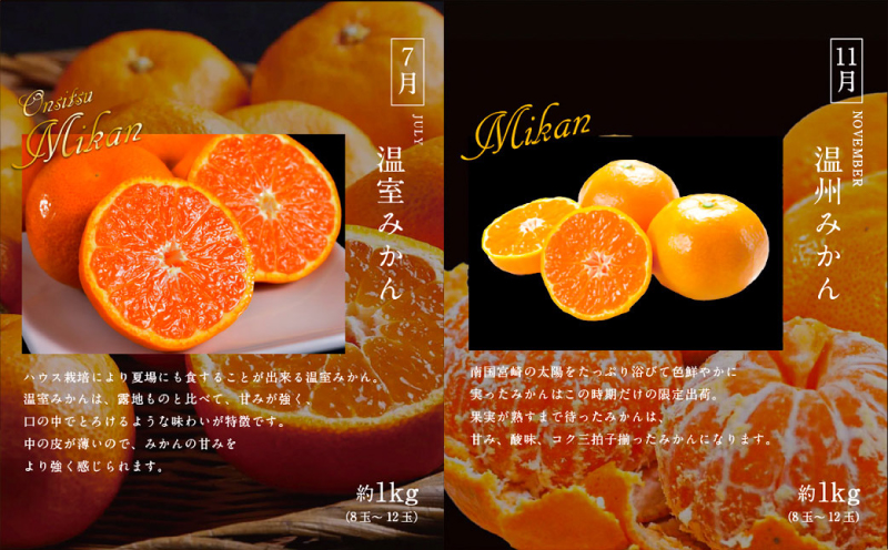 青果店厳選！「くだもの定期便Vol.1」(全9回) フルーツ 果物 定期便 9回 いちご きんかん 金柑 たまたま 日向夏 マンゴー メロン みかん 温州みかん 不知火 柑橘 柑橘類 青果物 青果 グルメ お取り寄せ ギフト_M153-004