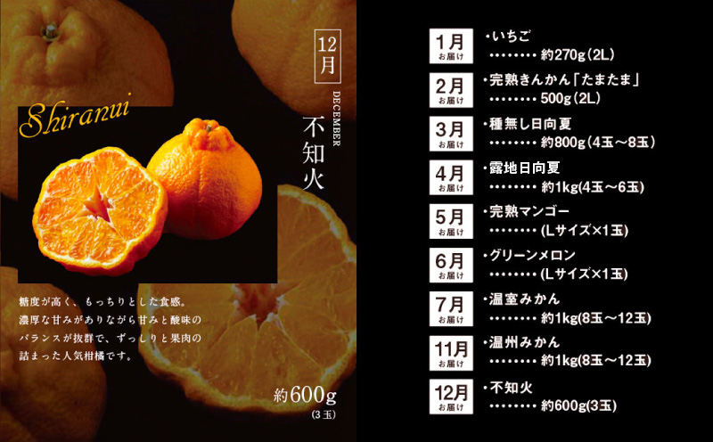 青果店厳選！「くだもの定期便Vol.1」(全9回) フルーツ 果物 定期便 9回 いちご きんかん 金柑 たまたま 日向夏 マンゴー メロン みかん 温州みかん 不知火 柑橘 柑橘類 青果物 青果 グルメ お取り寄せ ギフト_M153-004