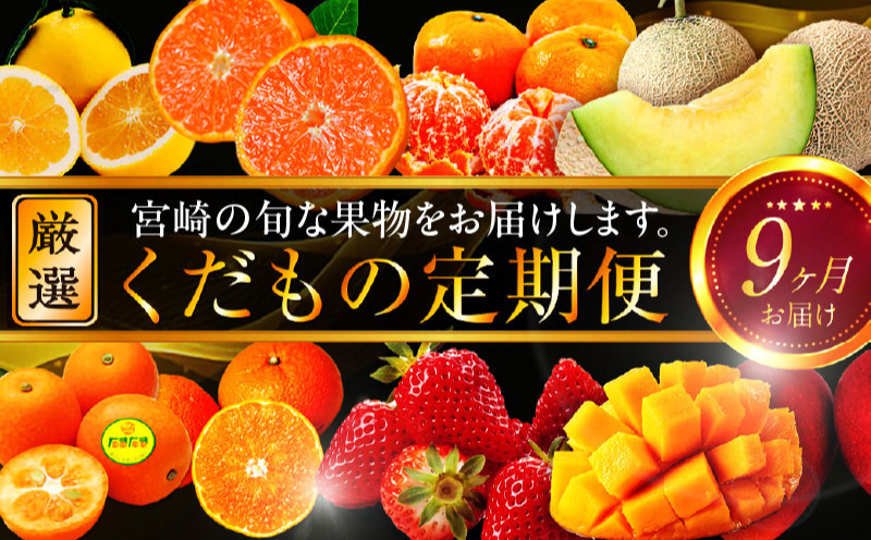 青果店厳選！「くだもの定期便Vol.2」(全9回)_M153-005