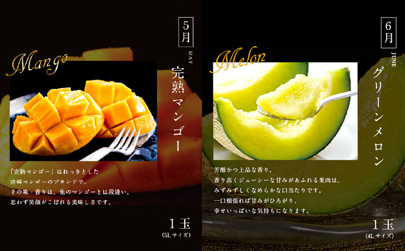 青果店厳選！「くだもの定期便Vol.2」(全9回) フルーツ 果物 定期便 9回 いちご きんかん 金柑 たまたま 日向夏 マンゴー メロン みかん 温州みかん 津之輝 柑橘 柑橘類 青果物 青果 グルメ お取り寄せ ギフト_M153-005