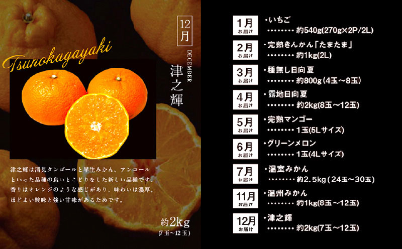 青果店厳選！「くだもの定期便Vol.2」(全9回) フルーツ 果物 定期便 9回 いちご きんかん 金柑 たまたま 日向夏 マンゴー メロン みかん 温州みかん 津之輝 柑橘 柑橘類 青果物 青果 グルメ お取り寄せ ギフト_M153-005
