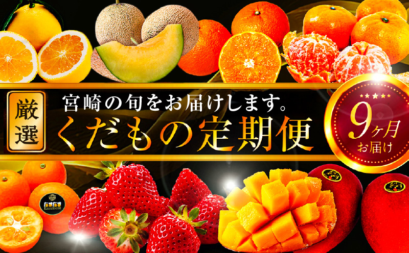 青果店厳選！「くだもの定期便Vol.3」（全9回）_M153-007