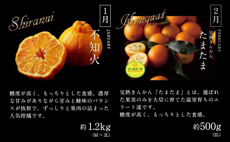 《2026年発送先行予約》【数量・期間限定】贈答用にもオススメ!バイヤー厳選!「フルーツ定期便」(全6回)|果物 フルーツ 定期便 果物定期便 6ヶ月定期便 毎月 デザート スイーツ 不知火 きんかん いちご 日向夏 マンゴー メロン 贈答 贈り物 ギフト おすすめ 人気|_M153-T011