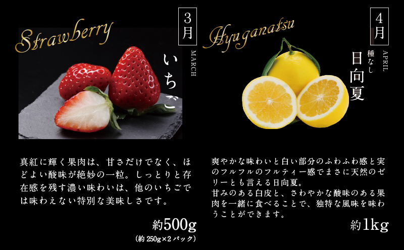 《2026年発送先行予約》【数量・期間限定】贈答用にもオススメ!バイヤー厳選!「フルーツ定期便」(全6回)|果物 フルーツ 定期便 果物定期便 6ヶ月定期便 毎月 デザート スイーツ 不知火 きんかん いちご 日向夏 マンゴー メロン 贈答 贈り物 ギフト おすすめ 人気|_M153-T011