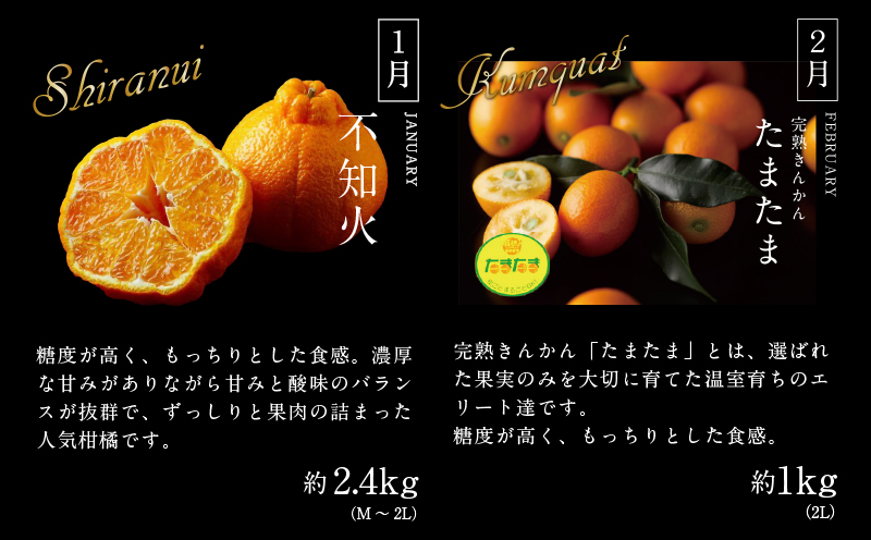 《2026年発送先行予約》【数量・期間限定】贈答用にもオススメ!バイヤー厳選!「厳選フルーツ定期便」(全6回)_M153-T012