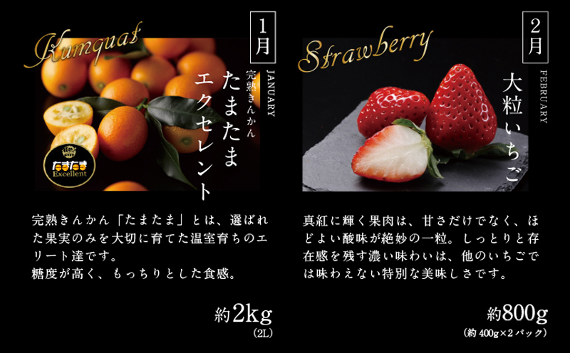 《2026年発送先行予約》【数量・期間限定】贈答用にもオススメ!バイヤー厳選!「至極フルーツ定期便」(全6回)_M153-T013