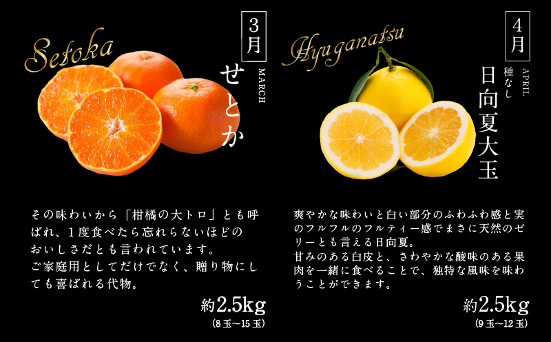 《2026年発送先行予約》【数量・期間限定】贈答用にもオススメ!バイヤー厳選!「至極フルーツ定期便」(全6回)_M153-T013