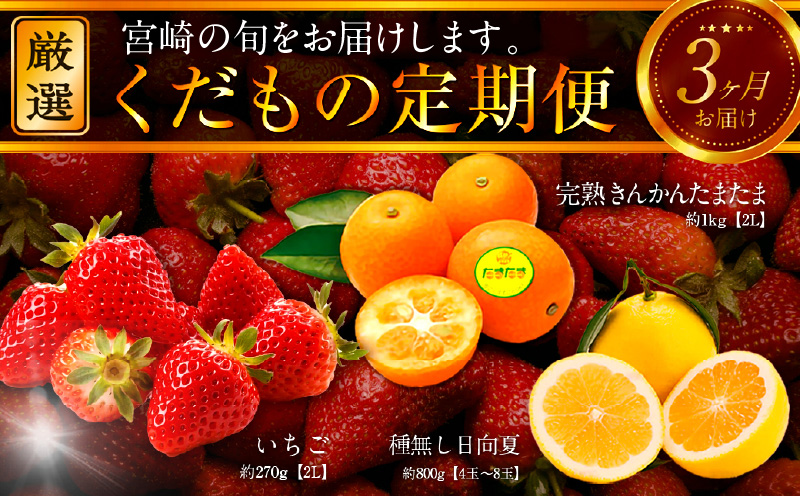《2026年発送先行予約》【数量・期間限定】青果店厳選！「3ヶ月お届け！くだもの定期便Vol.1」_M153-T021