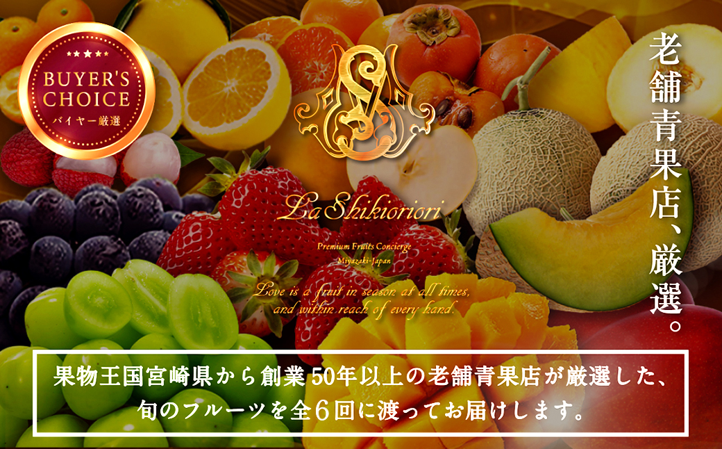 《2026年発送先行予約》【数量・期間限定】贈答用にもオススメ!バイヤー厳選!「フルーツ定期便」(全6回)|果物 フルーツ 定期便 果物定期便 6ヶ月定期便 毎月 デザート スイーツ 不知火 きんかん いちご 日向夏 マンゴー メロン 贈答 贈り物 ギフト おすすめ 人気|_M153-T011