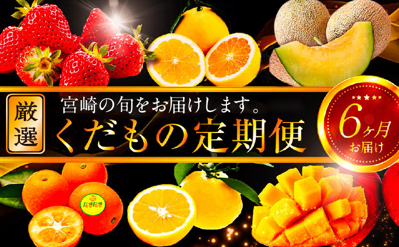 《2026年発送先行予約》【数量・期間限定】青果店厳選！「6ヶ月お届け！くだもの定期便Vol.2」_M153-T026