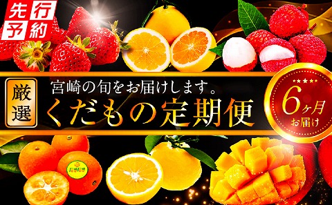 《2025年発送先行予約》【期間・数量限定】青果店厳選！「6ヶ月お届け！くだもの定期便Vol.2」_M153-T026