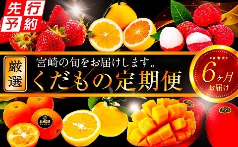 《2025年発送先行予約》【期間・数量限定】青果店厳選！「6ヶ月お届け！くだもの定期便Vol.3」_M153-T027