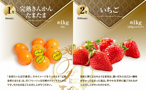 ãæ°ééå®ãæ¬ã®ãã ãã®å®æäŸ¿ãå
š8åã ãããã ããŸã㟠ãã¡ã èº ã€ã㎠ããšã ãã³ãŽãŒ ã¹ã€ã« ã¡ãã³ æž©å·ã¿ãã æ¥åå€ å®ç çš®ãªããã«ãŒã æç© å®æäŸ¿_M153-T042