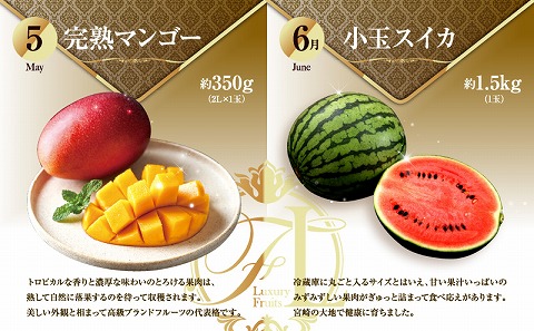 ãæ°ééå®ãæ¬ã®ãã ãã®å®æäŸ¿ãå
š8åã ãããã ããŸã㟠ãã¡ã èº ã€ã㎠ããšã ãã³ãŽãŒ ã¹ã€ã« ã¡ãã³ æž©å·ã¿ãã æ¥åå€ å®ç çš®ãªããã«ãŒã æç© å®æäŸ¿_M153-T042