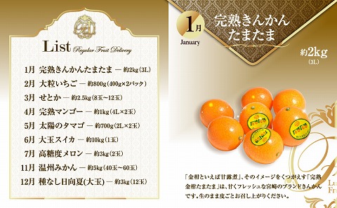 ãæ°ééå®ãæ¬ã®ãã ãã®ã極ãå®æäŸ¿ãå
š9åã_M153-T043