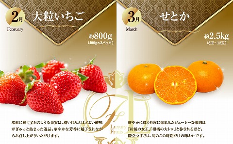 ãæ°ééå®ãæ¬ã®ãã ãã®ã極ãå®æäŸ¿ãå
š9åã_M153-T043