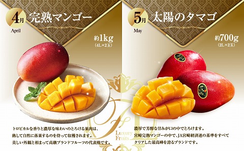 ãæ°ééå®ãæ¬ã®ãã ãã®ã極ãå®æäŸ¿ãå
š9åã_M153-T043