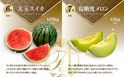 ãæ°ééå®ãæ¬ã®ãã ãã®ã極ãå®æäŸ¿ãå
š9åã_M153-T043