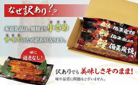 【訳あり】宮崎県産 うなぎ備長炭手焼き蒲焼3尾(300g)_M159-007