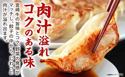 宮崎牛餃子セット　12個入り/5パックセット　合計60個 餃子 セット 60個 国産 宮崎牛 冷凍餃子 キャベツ 牛肉 肉 中華 中華料理 中華惣菜 惣菜 お惣菜 おつまみ つまみ おかず ぎょうざ ギョウザ 焼餃子 焼き餃子 蒸し餃子 冷凍 パック お取り寄せ 取り寄せ_M165-001