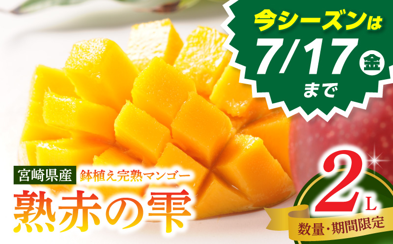 《2026年発送先行予約》【数量・期間限定】宮崎県産鉢植え完熟マンゴー 熟赤の雫(あかのしずく) 化粧箱入り2L×2玉 完熟マンゴー マンゴー フルーツ くだもの デザート スイーツ 南国_M168-005-01