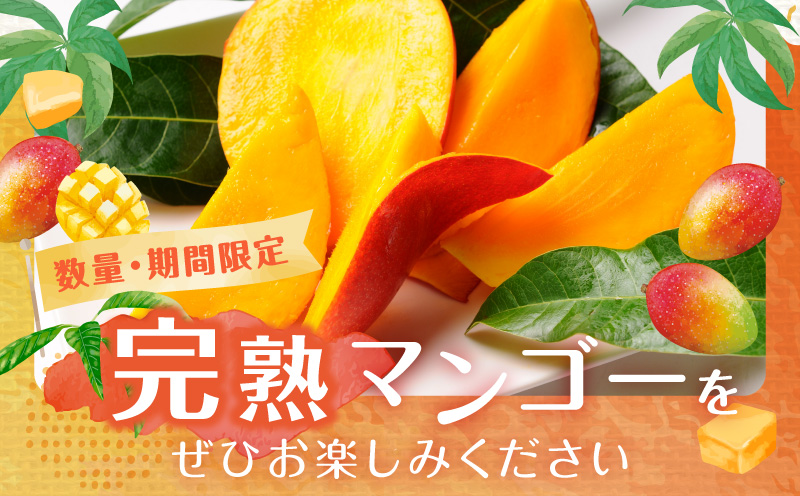 《2026年発送先行予約》【数量・期間限定】宮崎県産鉢植え完熟マンゴー 熟赤の雫(あかのしずく) 化粧箱入り2L×2玉 完熟マンゴー マンゴー フルーツ くだもの デザート スイーツ 南国_M168-005-01