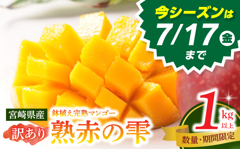 《2026年発送先行予約》【数量・期間限定】【訳あり】宮崎県産鉢植え完熟マンゴー 熟赤の雫(あかのしずく) 1kg以上詰合せ 完熟マンゴー マンゴー フルーツ くだもの デザート スイーツ 南国_M168-006