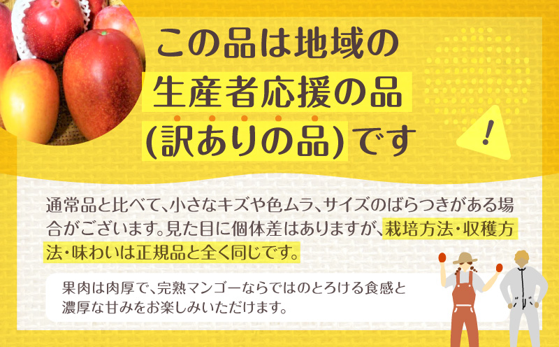 《2026年発送先行予約》【数量・期間限定】【訳あり】宮崎県産鉢植え完熟マンゴー 熟赤の雫(あかのしずく) 1kg以上詰合せ 完熟マンゴー マンゴー フルーツ くだもの デザート スイーツ 南国_M168-006