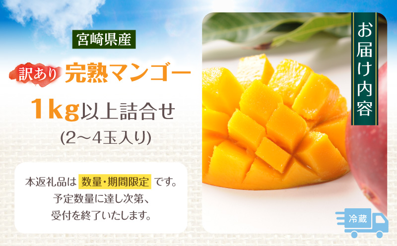 《2026年発送先行予約》【数量・期間限定】【訳あり】宮崎県産鉢植え完熟マンゴー 熟赤の雫(あかのしずく) 1kg以上詰合せ 完熟マンゴー マンゴー フルーツ くだもの デザート スイーツ 南国_M168-006