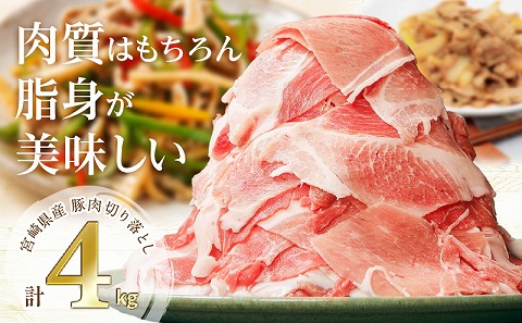 宮崎県産豚肉切り落とし合計4kg(冷凍500g×8パック)_M179-007_01