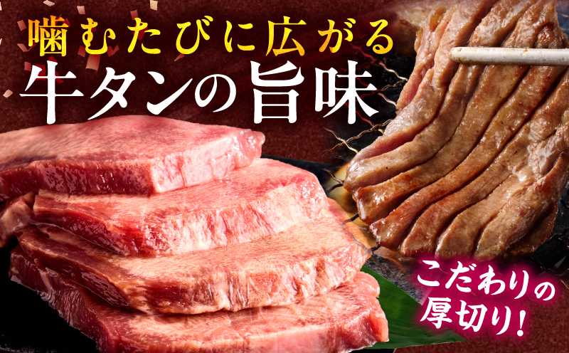 《訳あり》厚切り 牛タン 塩味 500g 牛肉 肉 精肉 味付き タン タン塩 塩タン 不揃い 規格外 小分け パック 簡単調理 焼くだけ キャンプ 焼肉 厚切り牛タン グルメ お取り寄せ 宮崎県 宮崎市_M179-014-01