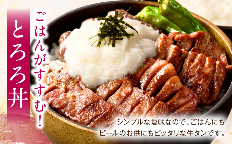 《訳あり》厚切り 牛タン 塩味 500g 牛肉 肉 精肉 味付き タン タン塩 塩タン 不揃い 規格外 小分け パック 簡単調理 焼くだけ キャンプ 焼肉 厚切り牛タン グルメ お取り寄せ 宮崎県 宮崎市_M179-014-01
