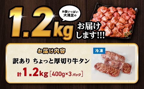 訳あり！！ちょっと厚切り牛タン！！3P（1.2kg）_M179-021_01