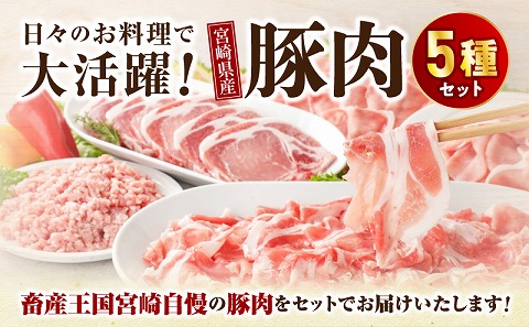 宮崎県産豚肉セット_M179-026