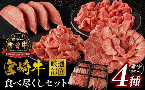 宮崎牛厳選部位食べ尽くしセット_M179-027