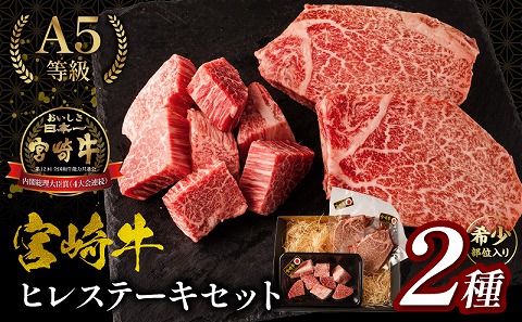 宮崎牛ヒレステーキセット_M179-028