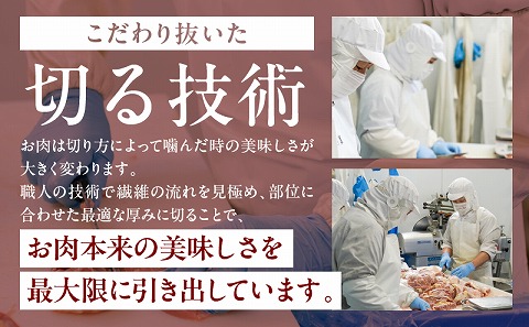 宮崎牛しゃぶしゃぶ切り落とし 1.2kg_M179-022