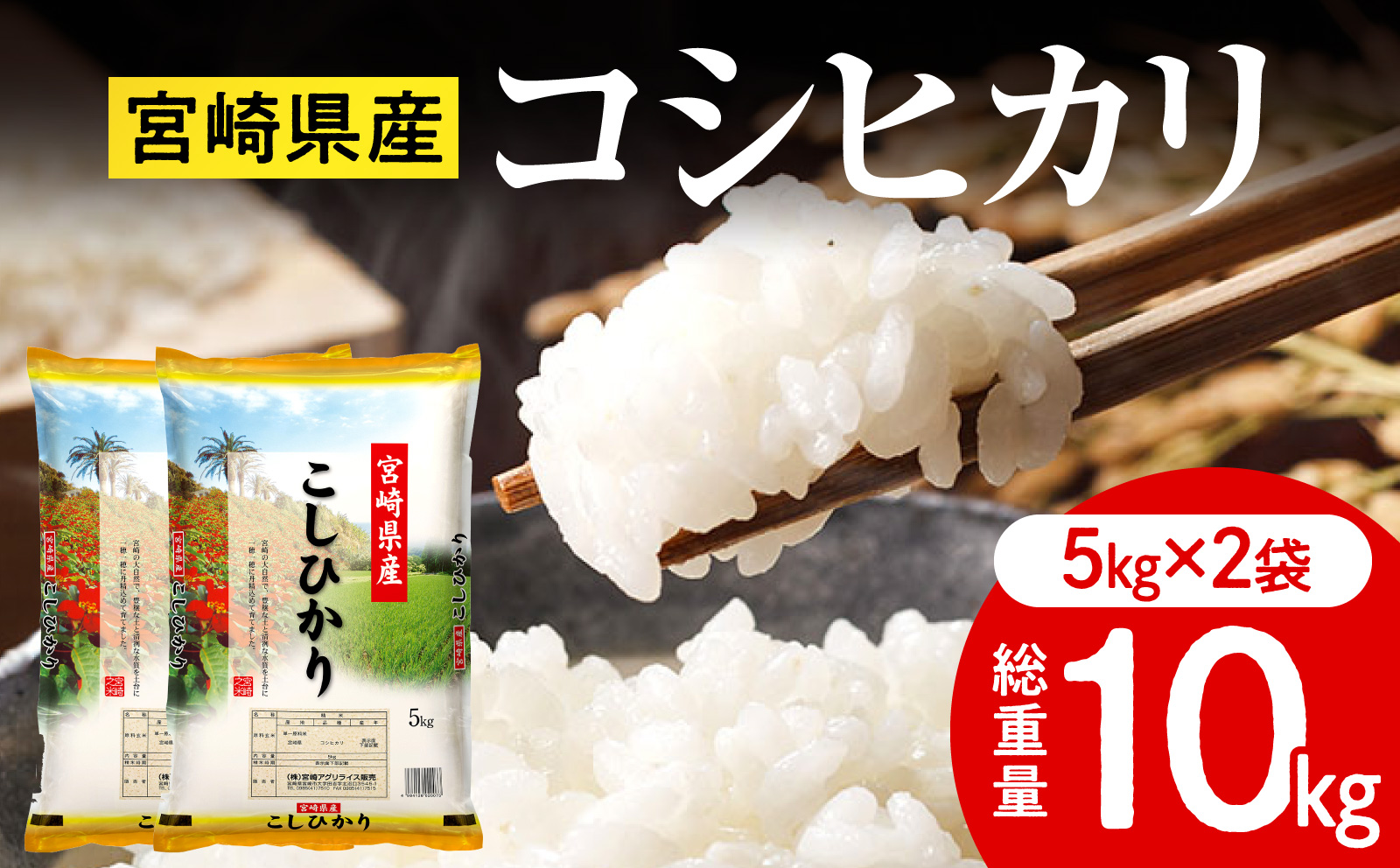 《令和7年産》宮崎県産コシヒカリ 合計10kg(5kg×2袋) コシヒカリ 宮崎県産 超早場米 早場米 精米 白米 お米 米 ごはん 主食 炭水化物_M181-001
