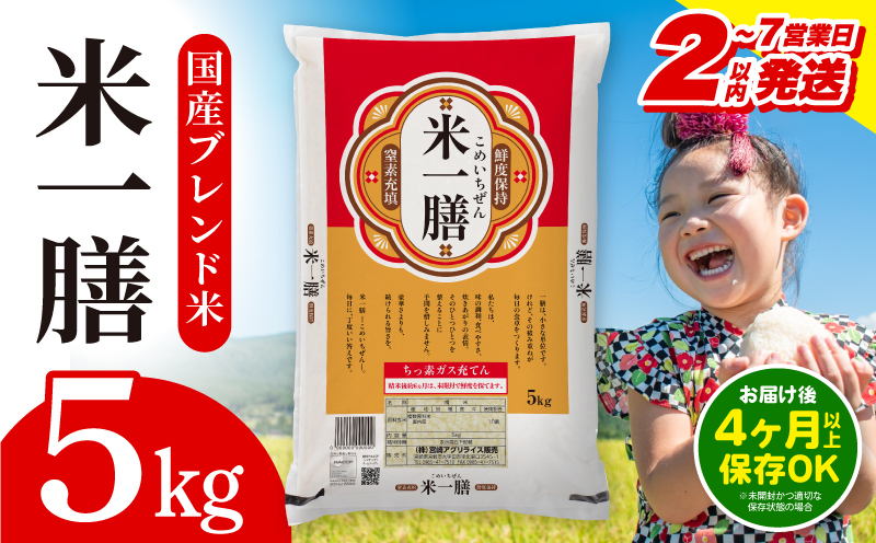 [2〜7営業日以内に発送予定]国産ブレンド米 「米一膳」5kg お米 米 ご飯 ごはん 主食 炭水化物 精米_M181-006-01-7E