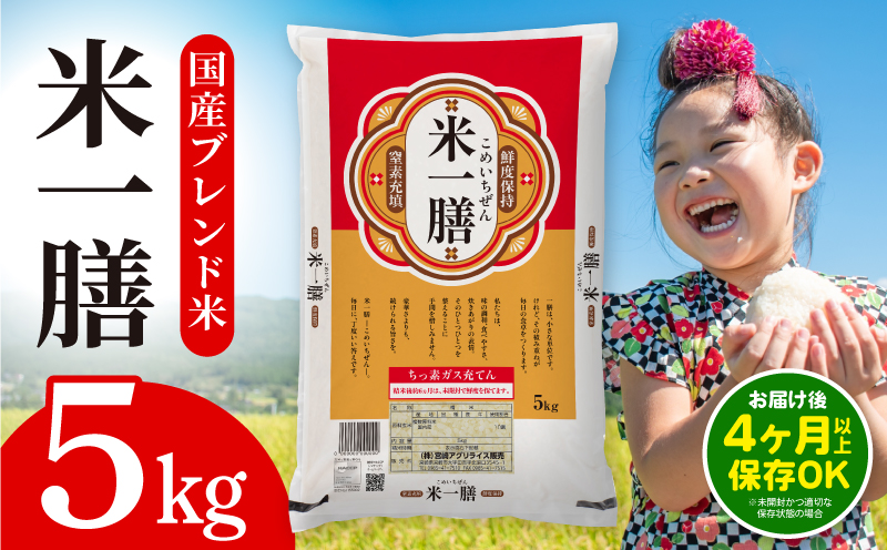 国産ブレンド米 「米一膳」5kg お米 米 ご飯 ごはん おにぎり 主食 お弁当 炭水化物 朝食 品種 精米 食品 備蓄 防災 ストック_M181-006-01-jul