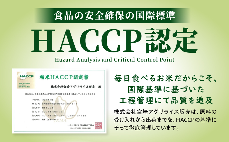 【2～7営業日以内に発送予定】国産ブレンド米 「米一膳」5kg お米 米 ご飯 ごはん 主食 炭水化物 精米_M181-006-01-7E